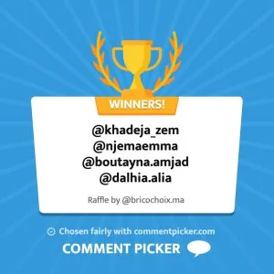 Bricochoix 114 653064976 17861043720667052 7965451119356496842 n