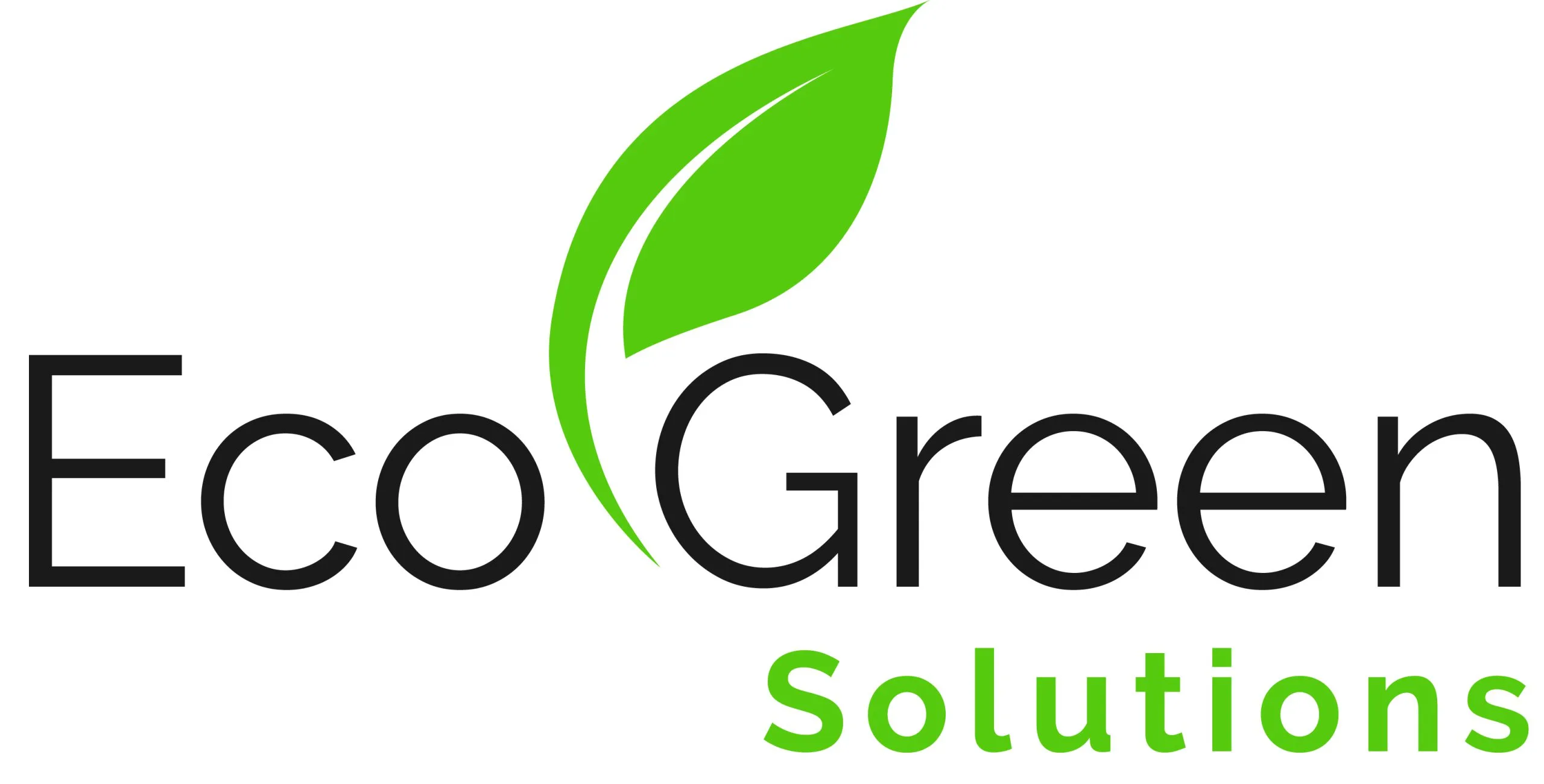 Bricochoix 63 ECO Green Solutions Logo scaled