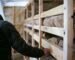Rangement atelier : solutions pratiques pour organiser ses outils de bricolage